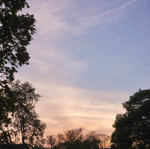 A picture of the mid-May sky as the sun goes down. The upper half of the frame is mostly periwinkle blue, but the lower half contains some wispy clouds, which do indeed look pale pink and/or peachy as the setting sun hits them. Dark silhouettes of trees line the left side, the bottom, and the right bottom corner.
